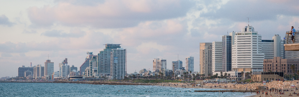 עורכי דין נדלן